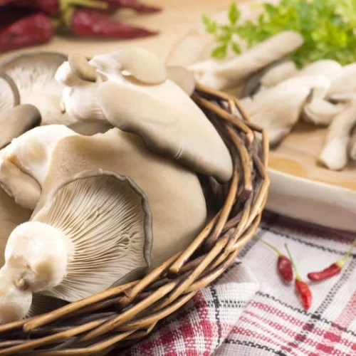 oyster mushrooms img